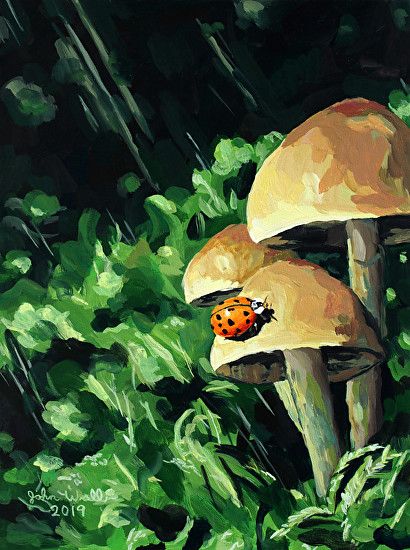 Black Canvas Mushroom Painting, Dark Mushroom Painting, Mushroom Acrylic Painting Easy, Mushrooms Painting Easy, Painted Mushrooms Acrylic, Cottagecore Acrylic Painting, Mushroom Painting Aesthetic, Painting Ideas On Canvas Mushrooms, Paintings Of Mushrooms