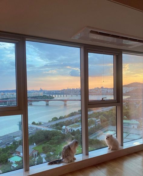 Korean Apartment View, Gangnam Apartment Luxury, Nyc Apartment Big Windows, Big Korean Apartment, Rich Korean Apartments, Big Window Apartment, Korean Apartment Building, Apartment With Big Windows, Korean Apartment Aesthetic