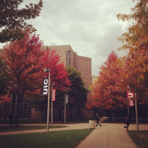 Shower with Oxygenics at The University of Illinois at Chicago University Of Illinois Chicago, Uic Chicago Aesthetic, University Of Chicago Aesthetic, Uic Campus, Uic Chicago, Autumn Academia, Campus Aesthetic, University Of Illinois At Chicago, Chicago Signs