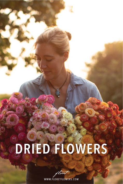 Best Flowers For Dried Arrangements, Drying Flowers For Bouquets, Drying Zinnia Flowers, Flowers That Can Be Dried, Flowers For Drying Best, Best Dried Flowers To Grow, How To Dehydrate Flowers, Dried Flower Farm, Dried Flower Names