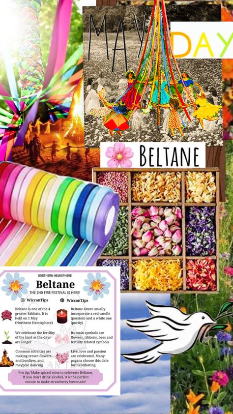 #paganism #beltane #maypole Beltane Flowers, Beltane Affirmations, Beltane Maypole, What Is Beltane, Celebrating Beltane, Celebrate Beltane, Spiced Wine, Fire Festival, Red Candles