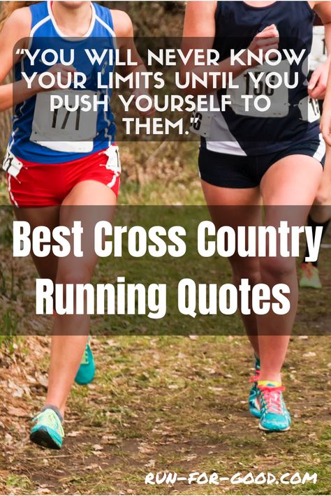 If you're a fan of cross country running, check out these motivational cross country quotes and mottos to inspire your runs and races. Quotes For Cross Country Runners, Cross Country Sayings Motivation, Good Luck Running Race Quotes, Run Inspiration Quotes, Xc Running Quotes, Cross Country Motivational Quotes, Funny Cross Country Quotes, Cross Country Quotes Funny, Cross Country Slogans