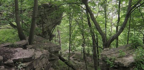 Cliff In Forest, Cliff Forest, Forest Cliff, Snake Tanks, Cliff Landscape, Warriors Oc, Dead Forest, Forest Clearing, Rocky Landscape