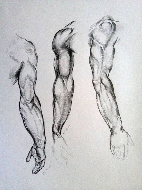 Movement Sketch, Arm Anatomy, Arm Drawing, Amazing Embroidery, Human Anatomy Drawing, Body Sketches, Human Figure Drawing, Human Anatomy Art, Anatomy Sketches