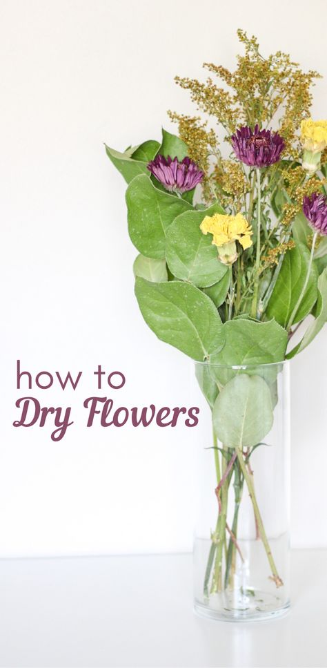 Dry Out Flowers, How To Dry Out Flowers, How To Dry Flowers, Diy Dried Flower Arrangement, Dried Flowers Diy, Pressed Flower Crafts, Floral Preservation, Flowers And Greenery, Fresh Flower Bouquets