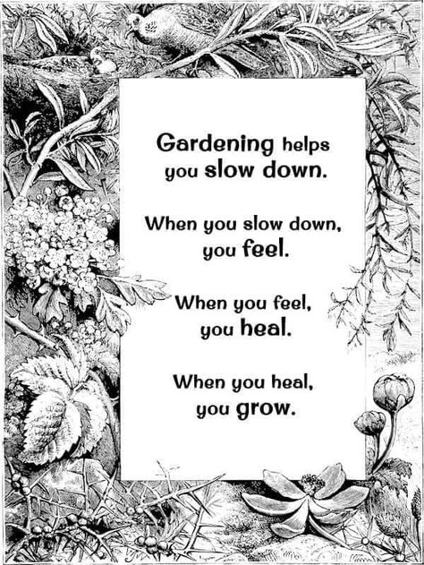 Addicted To Gardening | 🙌🙏🍃🧤🌻 New Journey Quotes, Slow Down Quotes, Garden Therapy, Therapy Quotes, Journey Quotes, Garden Help, Garden Quotes, Master Gardener, Flower Therapy