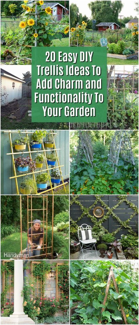 Diy Trellis Ideas, Garden Diy Decoration Ideas, Vertical Container Gardening, Building A Trellis, Flower Trellis, Diy Garden Trellis, Trellis Ideas, Outdoor Trellis, Diy Trellis