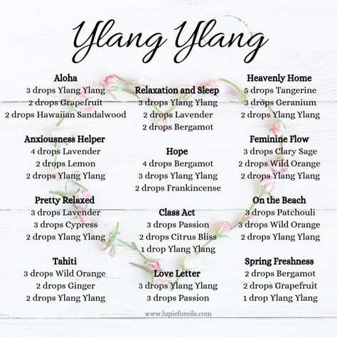 Ylang Ylang Diffuser Blends, Essential Oil Perfumes Recipes, Doterra Diffuser Blends, Essential Oil Combinations, Doterra Essential Oils Recipes, Essential Oil Diffuser Blends Recipes, Essential Oil Remedy, Young Living Essential Oils Recipes, Essential Oils Guide