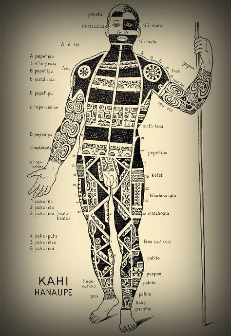 Schematic view of a tattooed Marquesan warrior. Tattoo Warrior, Polynesian Tattoo Meanings, Historical Tattoos, Warrior Symbols, 42 Tattoo, Totem Tattoo, Tattoos Meaning, Sea Tattoo, Polynesian Tattoo Designs