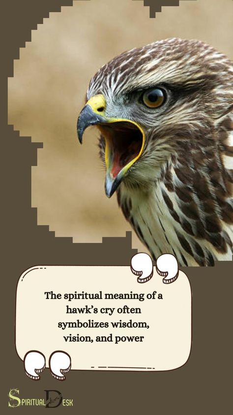 The spiritual meaning of a hawk’s cry often symbolizes wisdom, vision, and power. It is believed that when you hear a hawk’s cry, it is a message from the universe urging you to pay attention to the situations around you, and use your knowledge to make informed decisions. #pay #hear #believe #decisions #knowledge #outerspace Hawk Spiritual Meaning, Types Of Hawks, Message From The Universe, Animal Totem, Hidden Messages, Spirit World, The Haunting, Spiritual Messages, Spiritual Meaning