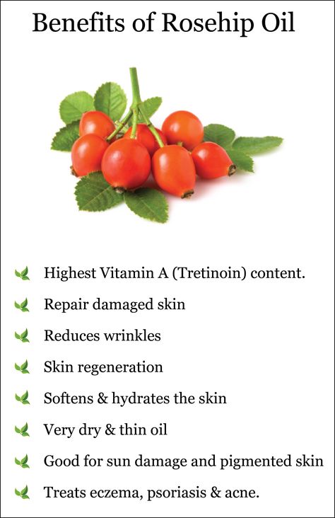 For the face Oil Tattoo, Benefits Of Rosehip Oil, Rosehip Oil Benefits, Tattoo Healing, Rose Hip Oil, Oil For Skin, Natural Hair Mask, How To Grow Eyebrows, Anti Aging Oils