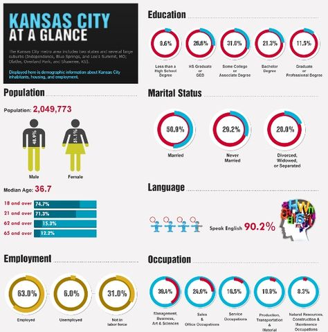 kansas city at a glance At A Glance Infographic, Demographic Infographic, Infographic Examples, Graphic Facilitation, Senior Project, Interesting Information, Marital Status, At A Glance, Data Visualization