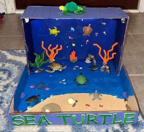 Turtle Diorama Project, Sea Turtle Diaroma, Sea Turtle Habitat Diorama, Sea Turtle Habitat Project For Kids, Turtle Diorama, Sea Turtle Project For School, Sea Turtle Diorama For Kids, Turtle Habitat Projects For Kids, Sea Turtle Diorama