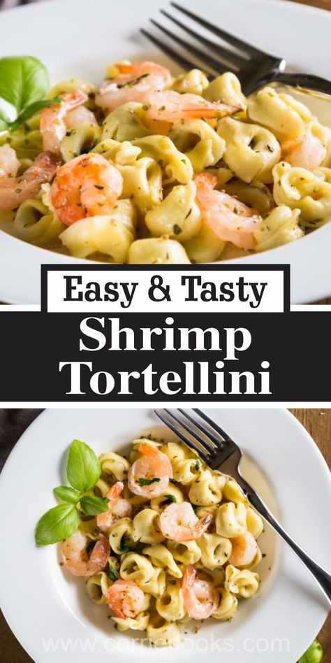 This dish combines the sweetness of succulent shrimp, the rich creaminess of a well-made Alfredo sauce, and the hearty goodness of cheese-stuffed tortellini. Shrimp Spinach Tortellini, Shrimp And Cheese Tortellini Recipes, Shrimp With Tortellini Recipe, Tortellini Recipes Shrimp, Tortellini And Shrimp Recipes, Shrimp Tortellini Salad, Shrimp And Tortellini Recipes, Shrimp Tortellini Recipes, Tortellini And Shrimp