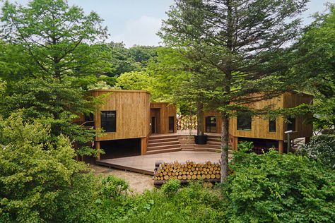 “Korea National Arboretum Children's Forest School” is used as an educational and exhibition space to inform children about the importance of forests and the environment in a fun and easy way through the building and the exhibition of outdoor spaces.  The architectural concept is based on the biophilic design in which nature, ecosystem and architecture coexist. The first starting point of this project is the harmony between the building and the existing trees. We preserve the old fir and cypress Biophilic Architecture, Outdoor Stage, History Project, Landscape Construction, Forest School, Cypress Trees, Rain Garden, Building Permits, Roof Garden