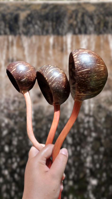 Coconut Shell Ladle Water Dipper Handicraft Natural Wooden, hand carved wood handles, rustic kitchen,Wooden Soup Ladle, gift. Coconut Products, Coconut Shell Crafts, Shell Craft, Coconut Shells, Coconut Wood, Soup Ladle, Bamboo Crafts, Bamboo Weaving, Diy Building