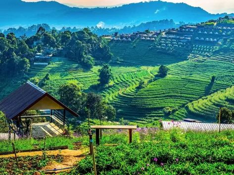 Chiang Mai Mon Jam Highlands & Pong Yang Adventure – Day (by TripGuru) Tickets - Special Price 2023 at Traveloka Mon Jam Chiang Mai, Thailand Aesthetic Chiang Mai, Chang Mai Thailand Hotels, Doi Suthep Chiang Mai, Chiang Mai Travel, Bungee Jumping, Roller Coaster Ride, Northern Thailand, Buddha Image