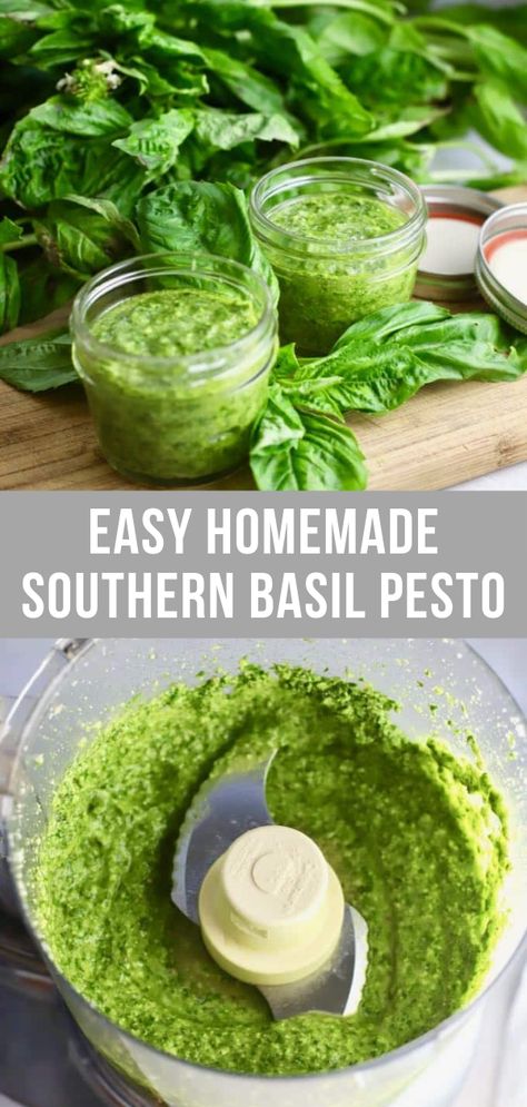 Pesto Recipe With Pecans, Basil Pecan Pesto, Sweet Basil Pesto Recipe, Basil Recipes Dinner Ideas Healthy, Pecan Pesto Recipe, Canned Pesto Recipe, Canning Pesto, Pesto Dinner, Pecan Pesto