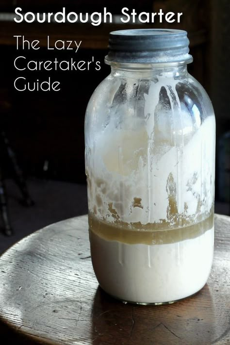 Tips and advice for the care and feeding of a sourdough starter, including how to maintain it, and how to revive a neglected starter. (Don't worry - it happen's to the best of us!) #sourdough #soudoughstarter #sourdoughbaking #baking #breadbaking When Is My Sourdough Starter Ready, Sourdough Recipes From Starter, Sourdough Starter Recipe With Yeast, How To Use Sour Dough Starter, Waking Up Sourdough Starter, Sourdough Starter No Scale, How To Make Sour Dough Bread Starter, Starting A Sourdough Starter, Sourdough Starter Separating