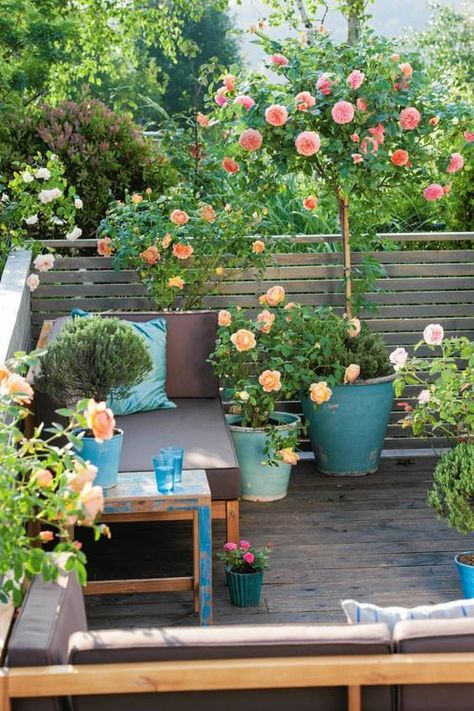 25 Seriously Jaw Dropping Urban Gardens Balkon Decor, Small Balcony Garden, Exquisite Gardens, Minimalist Garden, Cottage Garden Design, Flower Garden Design, Covered Pergola, Potted Trees, Beautiful Flowers Garden