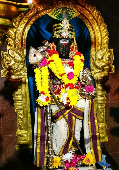 Palani Murugan Raja Alangaram, Murugan Baby Image, Lord Palani Murugan Hd Wallpaper, Ayyappa Swamy Wallpapers 3d, Lord Murugan Hd Wallpaper 4k, Lord Venkateswara Images Full Hd Wallpaper, Murugan Hd Wallpaper, Pink Moon Wallpaper, Subramanya Swamy