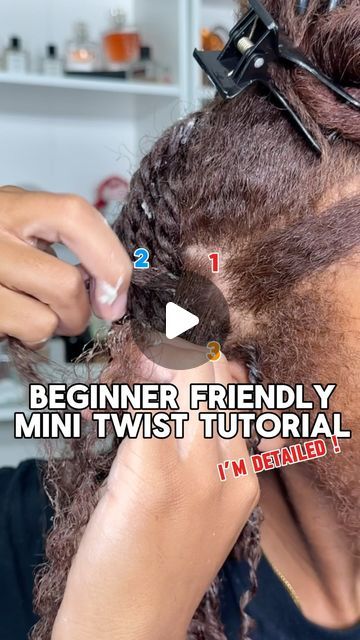 Mini Twists Tutorial Natural Hair, Mini Twists Styles Natural Hair, Quick Twist Styles For Natural Hair, Mini Twists Natural Hair Tutorials, How To Twist Natural Hair Tutorials, Twist Outs On Natural Hair Short 4c, Mini Twist Hairstyles, Low Porosity Hair Care, Mini Twists Natural Hair