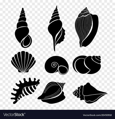 Shell Silhouette, Silhouette Arte, Silhouette Images, Seal Design, Cricut Craft Room, Clam Shell, Silhouette Art, Art Drawings For Kids, Vinyl Crafts