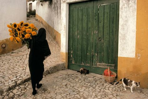 Steffan on Instagram: “Portugal, 1993. Captured by Bruno Barbey via @c__l__o #portugal #europe #brunobarbey #photographer #cat #cats #flowers #flora #sunflower…” Bruno Barbey, Berenice Abbott, Miss Moss, Study Photography, French Photographers, Magnum Photos, African Countries, Street Photo, Photography Inspo