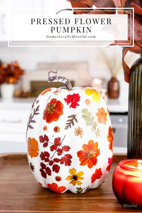 DIY Pressed Flower Pumpkin - Domestically Blissful Dry Flower Pumpkin, Flower Petal Pumpkin, Pumpkins Painting, Domestically Blissful, Flower Pumpkin, Diy Pumpkins, Creative Pumpkin Painting, Painting Pumpkins, Fall Pumpkin Crafts