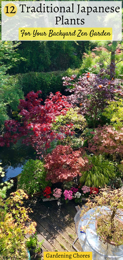 Transform your backyard into a tranquil haven with traditional Japanese plants. Embrace cherry blossoms, Japanese maples, and bamboo for elegance. Add moss, pine trees, and rocks for symbolism. Incorporate a water feature and irises for serenity. Introduce lanterns, bridges, or torii gates for architectural interest. Cultivate a mindful space, embracing wabi-sabi and regular grooming for a harmonious backyard Zen garden. Japanese Shrubs, Plants For A Japanese Garden, Asian Garden Backyard, Japanese Gardens, Japanese Backyard Ideas, Japanese Water Feature, Japanese Courtyard Garden, Japanese Gardens Design Ideas, Japanese Garden Backyard