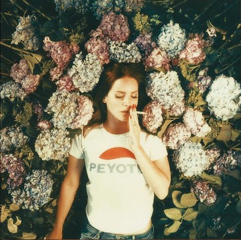 Ultraviolence Aesthetic, Neil Krug, Lana Del Rey Shirt, Lana Albums, Live Laugh Lana, Love Lana Del Rey, Lana Del Rey Albums, Lana Del Rey Ultraviolence, Lana Del Rey Aesthetic