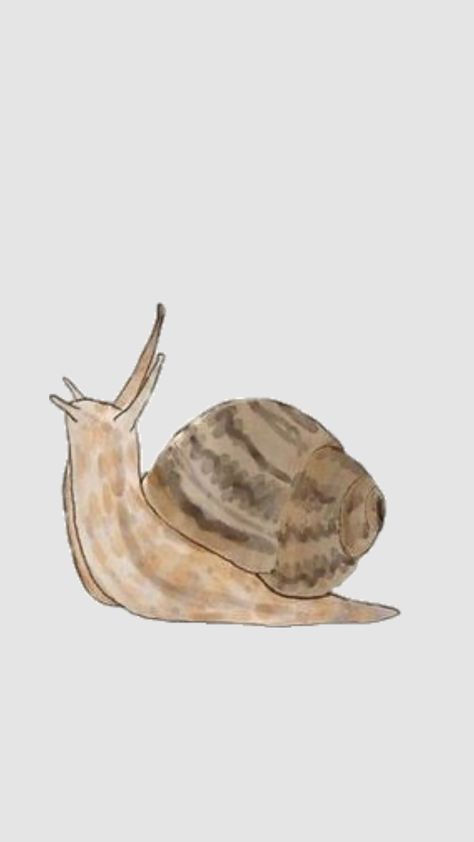 #snail #sketch #aesthetic Snail Sketch, Snail Aesthetic, Sketch Aesthetic, Snail Art, Animal Sketches, Create Collage, Creative Play, I Tattoo, Graphic Tees