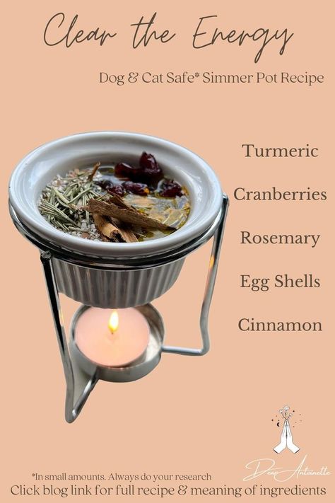 simmer pot recipe Simmer Pots, Simmer Pot Recipes, Kitchen Witch Recipes, Simmer Pot, Magia Das Ervas, Wiccan Magic, Witch Spirituality, Kitchen Witchery, Magic Herbs