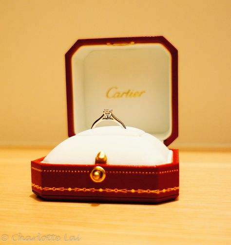 Cartier Solitaire 1895. Nice setting! Engagement Ring Cartier, Tank Cartier, Rings Cartier, Pinterest Engagement, Tiffany Engagement, Classic Diamond Ring, Something Borrowed, Bed Table, Princess Bride