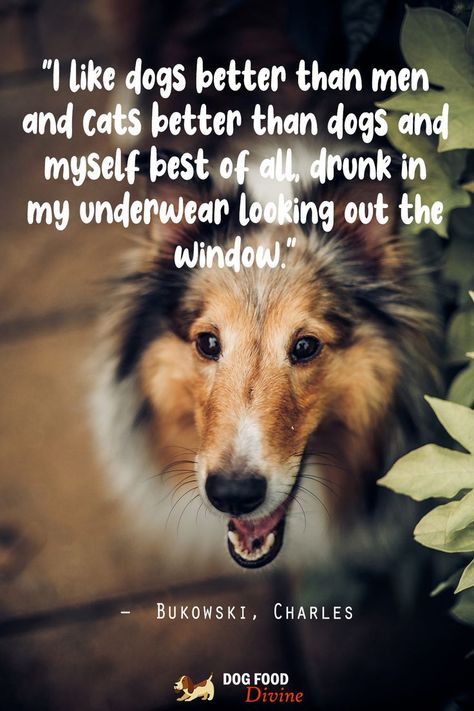 “I like dogs better than men and cats better than dogs and myself best of all, drunk in my underwear looking out the window.”
― Bukowski, Charles Men And Cats, Dog Quote, I Like Dogs, Looking Out The Window, Charles Bukowski, Cat Quotes, Bukowski, Dog Quotes, Mans Best Friend