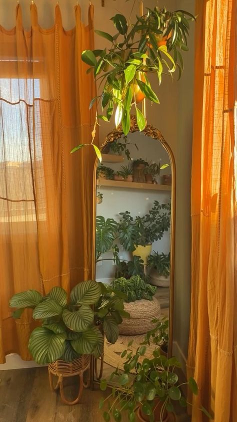 Plant Room, My Plant, Deco Studio, Plants Decor, Room Deco, Apartment Aesthetic, Room Apartment, House Plants Decor, Apartment Decor Inspiration