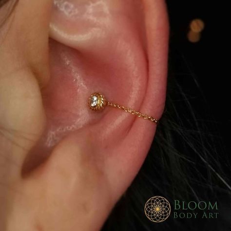 Luxury Piercing & Tattoo on Instagram: “Man I sure do love some chains! Heres one in a conch with a matching 14kt "purity" end on top! BLOOM BODY ART LUXURY PIERCING & FINE…” Conch With Chain, Conch Piercing Aesthetic, Conch Piercing Chain, Conch Chain, Luxury Piercing, Constellation Piercings, Instagram Man, Conch Jewelry, Accessory Inspo