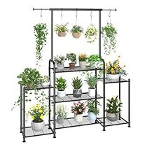 Child Activities, Tattoo Plant, Iron Plant Stand, Corner Plant, Window Plants, Support Pour Plante, Support Plante, Plant Shelf, Metal Plant Stand