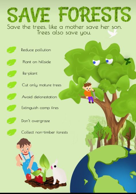 A save forests poster designed in photoshop Poster On Forest Conservation, Saving Nature Poster, Forest Conservation Poster Ideas, Save Forests Poster, Save The Forest Poster, Forest Conservation Poster, Save The Rainforest Poster, Save Forest Poster, Forest Day Poster