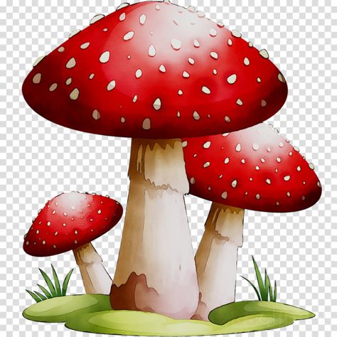 Cartoon Grass, Mushroom Background, Mushroom Clipart, Red And White Mushroom, Mushroom Images, Cartoon Mushroom, Green Leaf Background, Clip Art Free, Mushroom Drawing