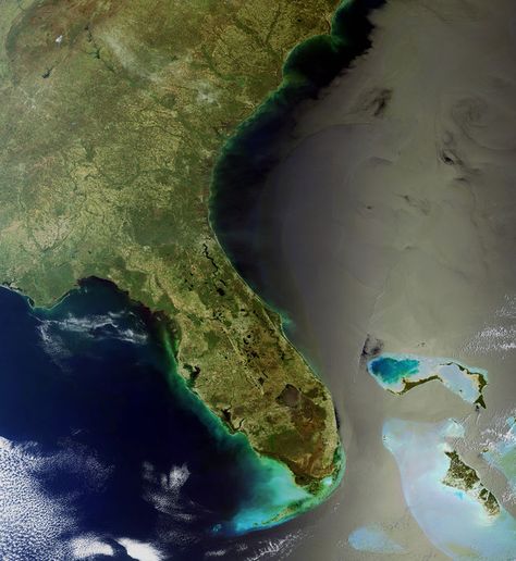 Space in Images - 2010 - 05 - Straits of Florida Florida Palm Trees, Englewood Florida, European Space Agency, Earth View, House Florida, Gulf Stream, Lincoln Logs, Earth Pictures, 1 April