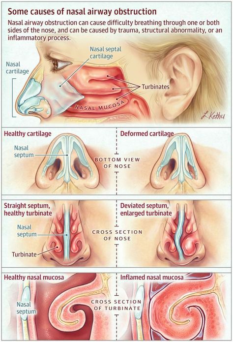 Basic Anatomy, Basic Anatomy And Physiology, Biology Facts, Medical Student Study, Human Body Anatomy, Medical Facts, Medical School Motivation, Medical School Inspiration, Medical School Essentials