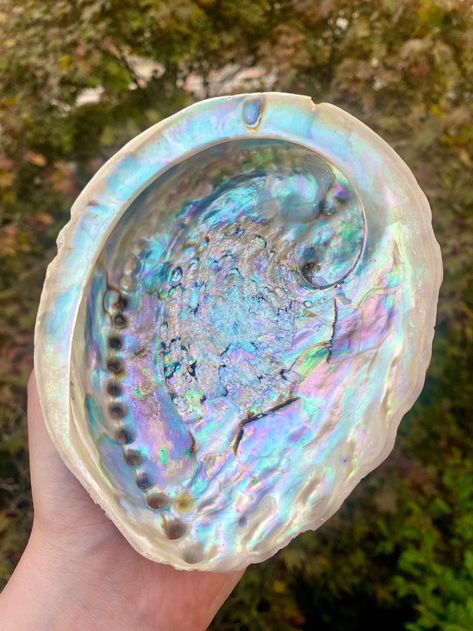 Beautiful iridescent abalone shell. Abalone provides emotional healing and is perfect to use when smudging to cleanse spaces. Art Nouveau Bathroom, Shell Centerpieces, Smudge Bowl, Sea Stuff, Iridescent Shell, Beach Wall Collage, H2o Mermaids, Fantasy Clothes, Crystal Centerpieces