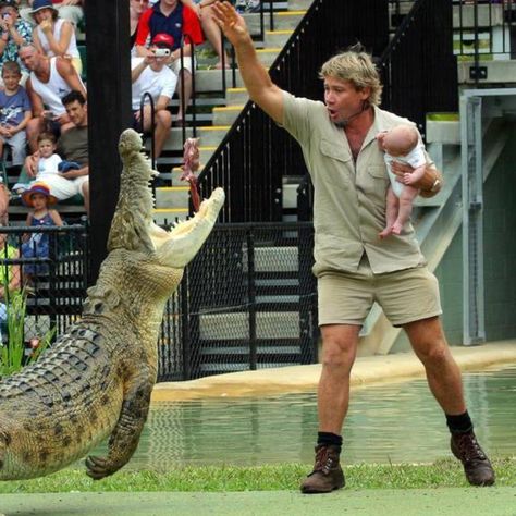 Steve Irwin Crocodile Hunter Costume Terri Irwin, Hunter Costume, Irwin Family, Crocodile Hunter, Bindi Irwin, Saltwater Crocodile, Steve Irwin, Photo Recreation, Australian Wildlife