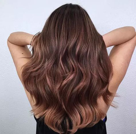 35 Rose Brown Hair Shades That Will Inspire You To Visit The Salon Rose Brown Hair, Brown Hair Cuts, Guytang Mydentity, Brown Hair Trends, Brown Hair Shades, Brown Ombre Hair, Brown Hair Looks, Guy Tang, Chocolate Hair