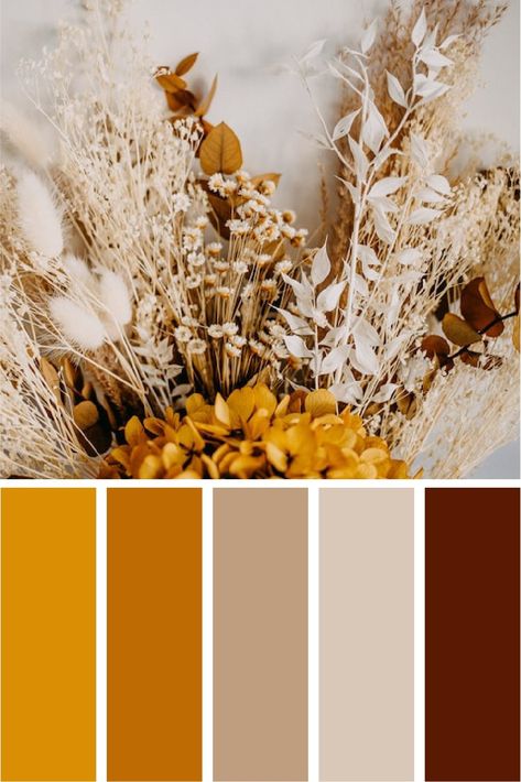 Discover 5 gorgeous autumn color palettes and ideas how to use them in your branding. — WILD BERRY | Logo Design, Brand Identity & Squarespace Websites Warm Autumn Color Palette, Brand Palette, Autumn Instagram, Website Color Palette, Thanksgiving Color, Fall Palette, Gold Color Palettes, Design Brand Identity, Warm Colour Palette