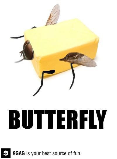 The Butter Fly English Puns, Funny Greek Quotes, Funny One Liners, What Do You Meme, Dry Humor, Funny As Hell, Funny Cartoons, Bones Funny, Just For Fun