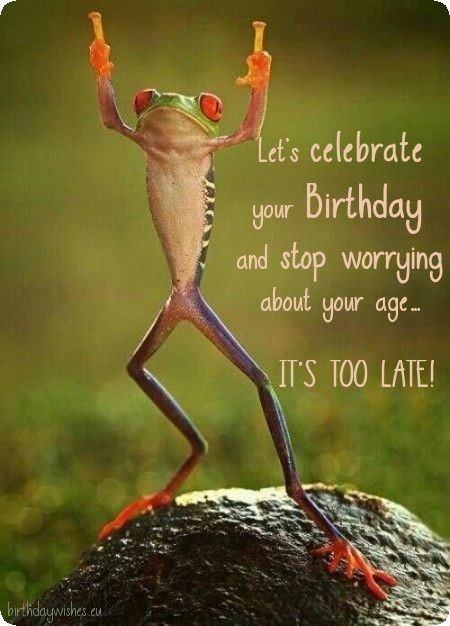 Happy Birthday Funny Humorous, Funny Happy Birthday Images, Happy Birthday Man, Funny Happy Birthday Wishes, Birthday Quotes For Him, Birthday Wishes For Friend, Happy Birthday Quotes Funny, Happy Birthday Wishes Cards, Birthday Wishes Funny