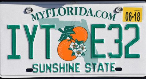 Among the plates rejected in Florida included FAAART and H0TSX. Florida License Plate, Vanity Plates, License Plate Designs, Plate Designs, Future Wallpaper, Personalized License Plates, Car Plates, Vanity Plate, Urban Dictionary