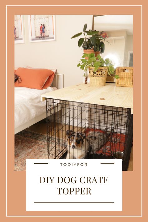 This is an easy and quick way to help your dog crate blend in with your decor. PLUS it can double as a table or storage space! We store Nova's treats/toys/grooming tools in decorative boxes ontop! Table Top Dog Crate, Diy Wood Top For Dog Crate, Dog Crate Entry Table, Dog Crate In Office, Cute Dog Crate Ideas Diy, Table Top For Dog Crate, Dog Crate Storage Ideas, Make Dog Crate Pretty, Small Living Room With Dog Crates